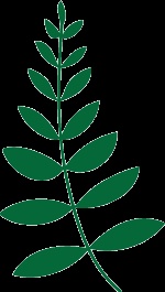 JAEP John Aves Education foundation